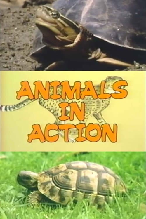The Turtle Family (1988) poster