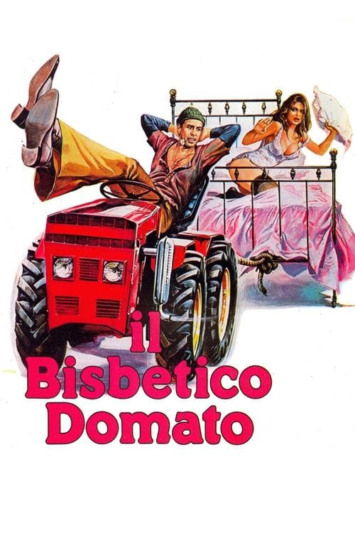 Il bisbetico domato (1980) poster