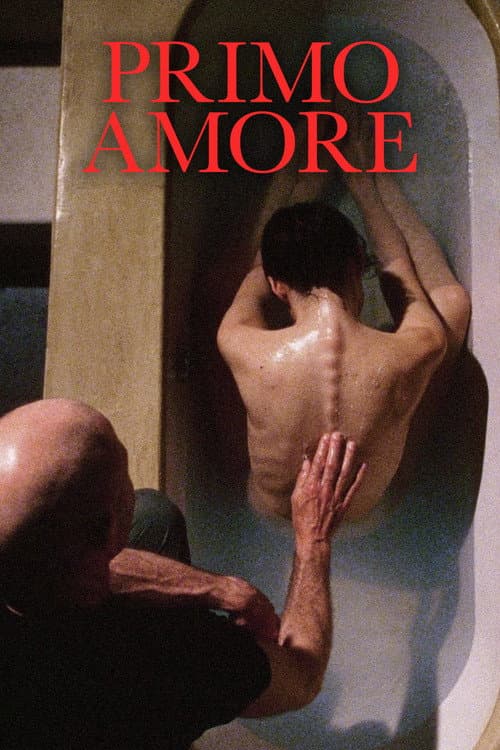 Primo amore (2004) poster
