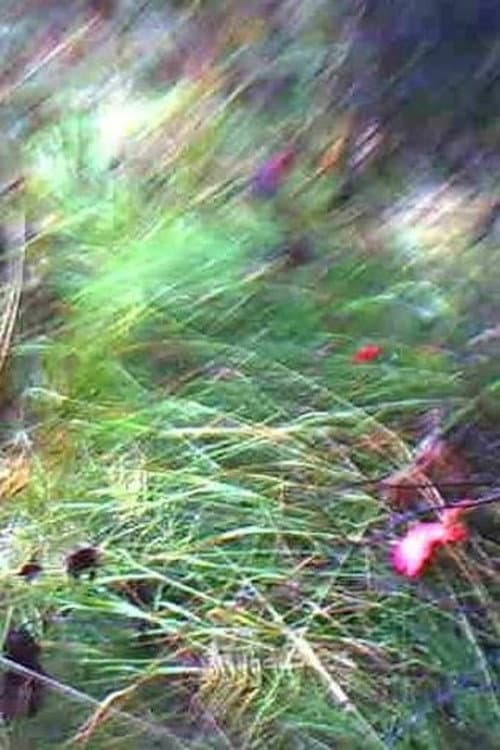 A Flower of Forgetfulness (2026) poster