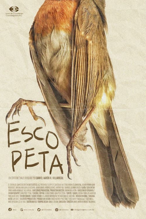 Escopeta (2023) poster