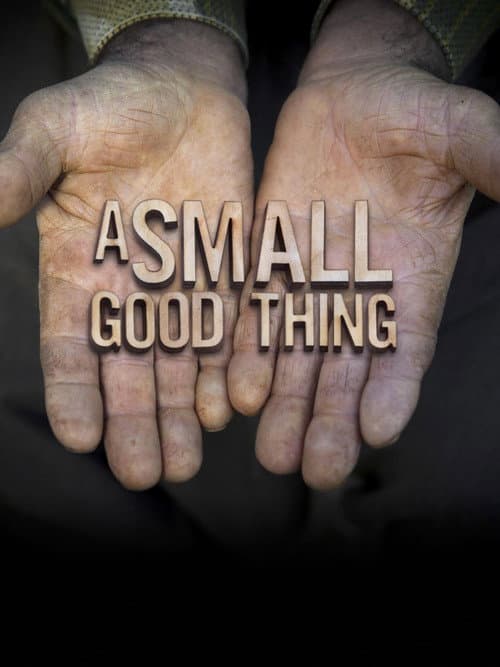 A Small Good Thing (2015) poster