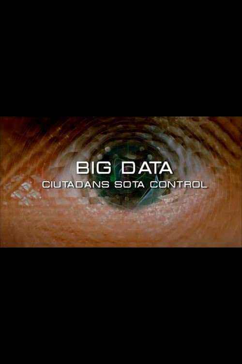 Big Data. Ciudadanos bajo control (2015) poster