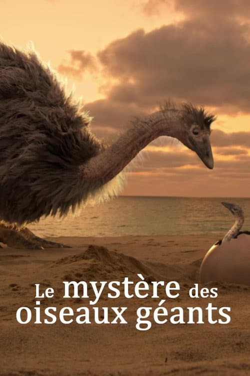 Le mystère des oiseaux géants (2025) poster