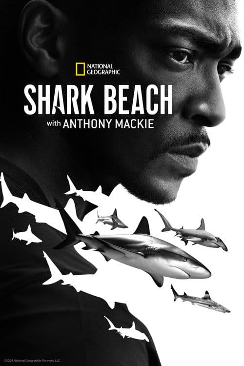 Shark Beach with Anthony Mackie (2024) poster