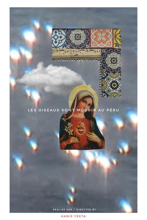 Les oiseaux vont mourir au Pérou (2024) poster