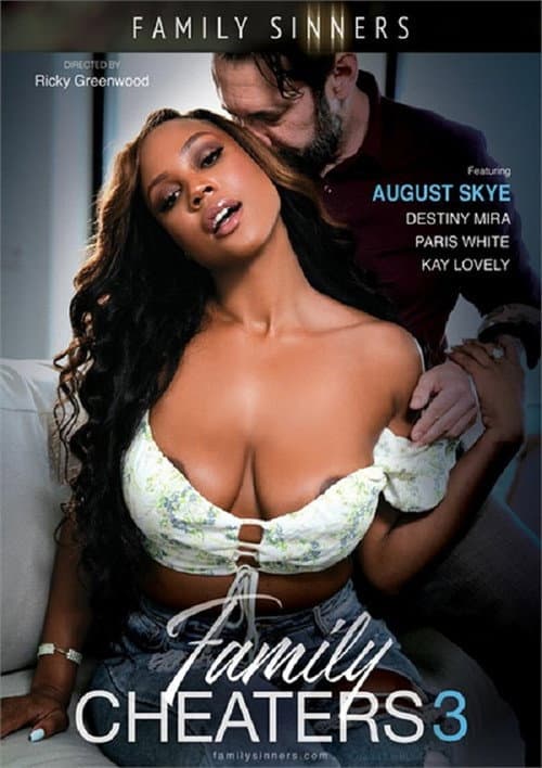 Family Cheaters 3 (2024) poster