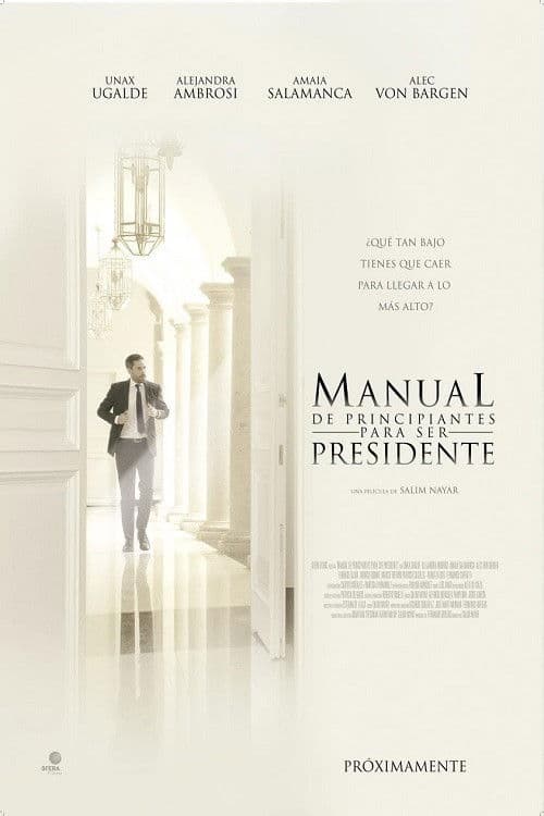 Manual de principiantes para ser presidente (2016) poster