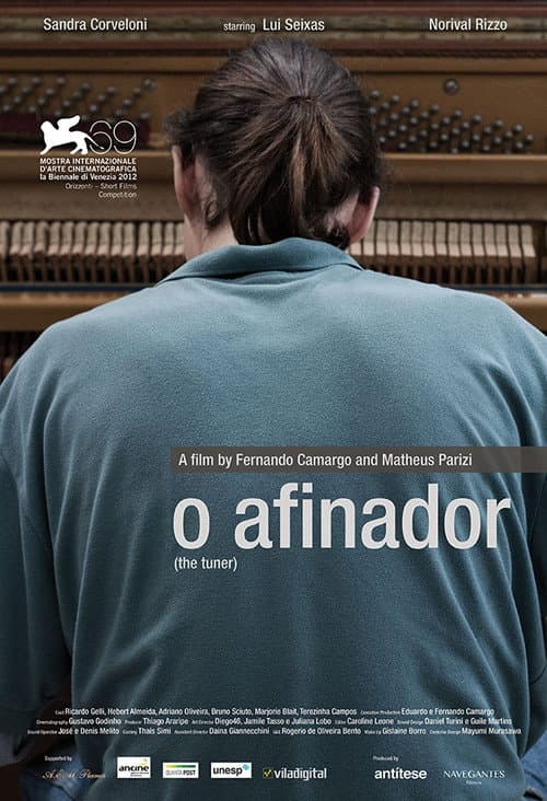 O Afinador (2012) poster