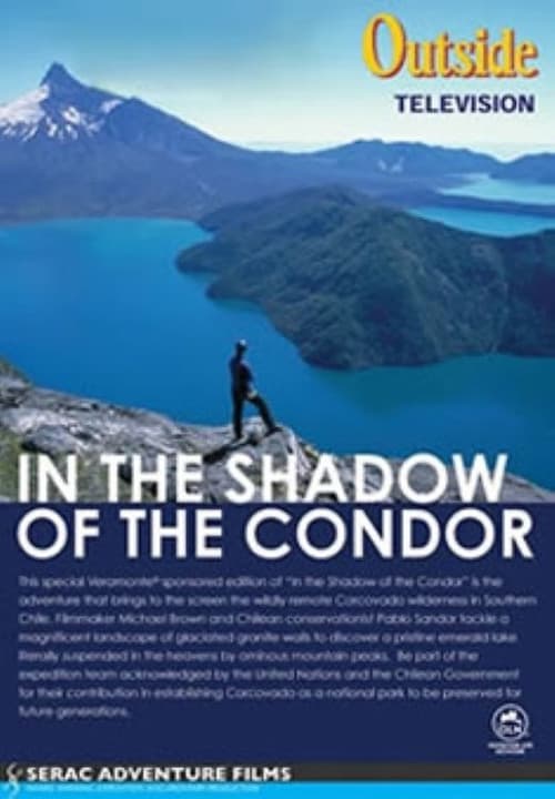In the Shadow of the Condor (2002) poster