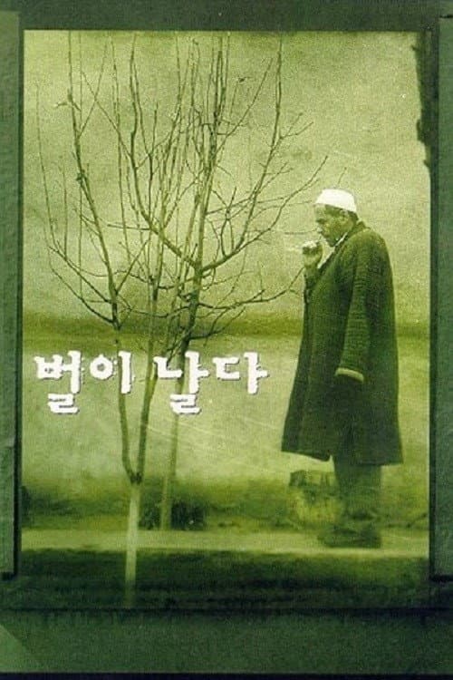 Парвози Занбур (1999) poster