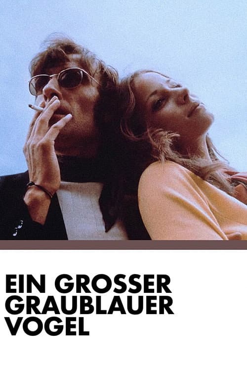 Ein großer graublauer Vogel (1971) poster