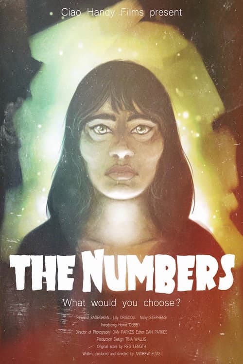 The Numbers (2018) poster