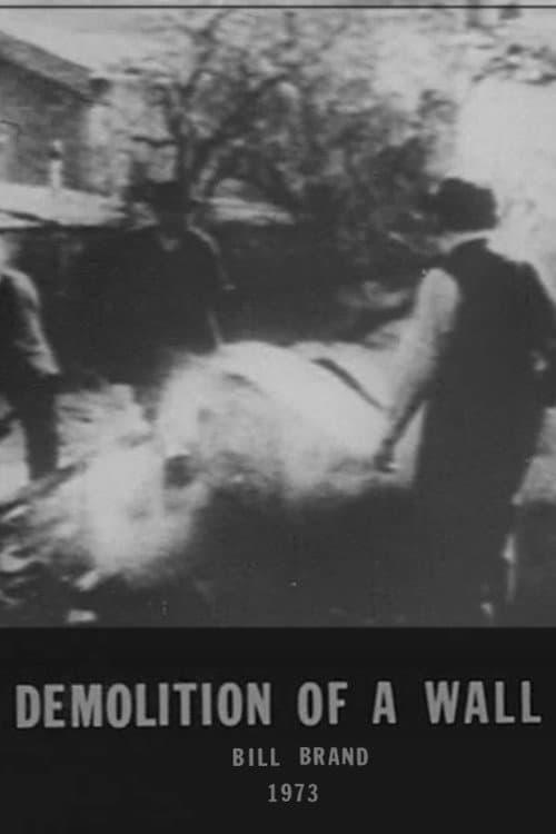 Demolition of a Wall (1973) poster