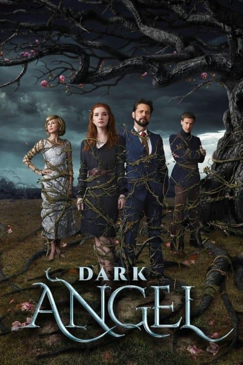 Dark Angel (2019) poster