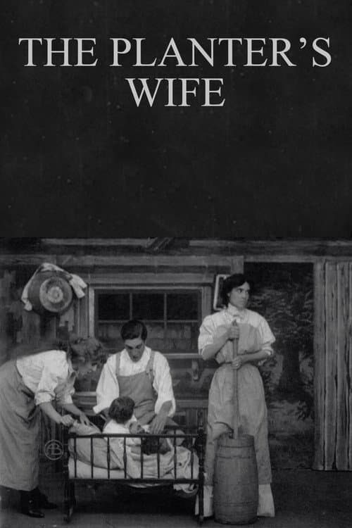The Planter's Wife (1908) poster