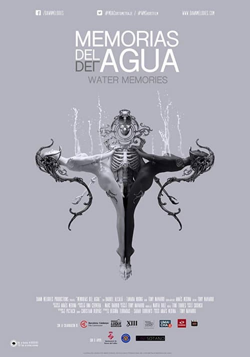 Memorias del Agua (2017) poster