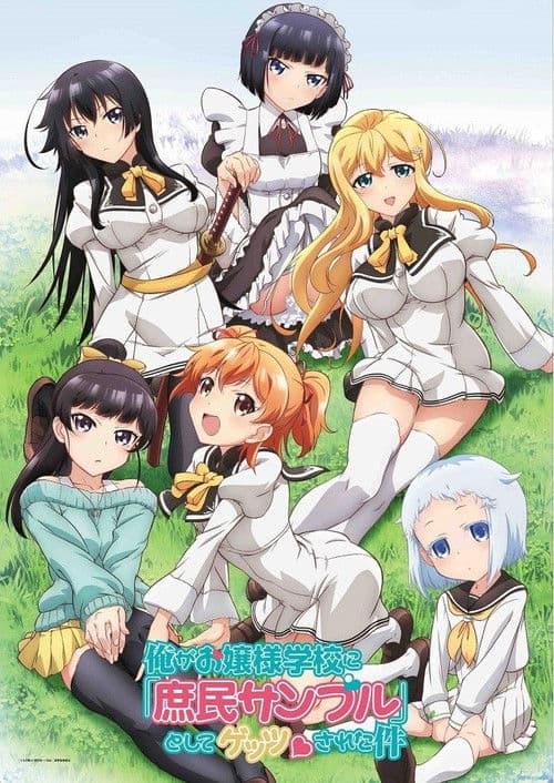 俺がお嬢様学校に「庶民サンプル」として拉致られた件 (2015) poster