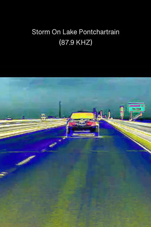 Storm on Lake Pontchartrain (2020) poster