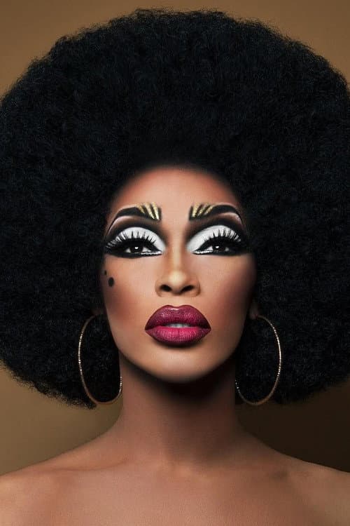 The Vixen foto