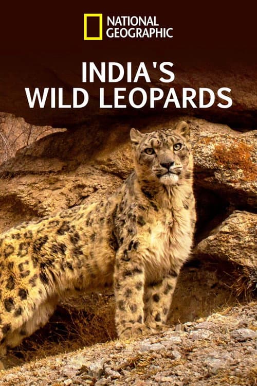 India's Wild Leopards (2020) poster