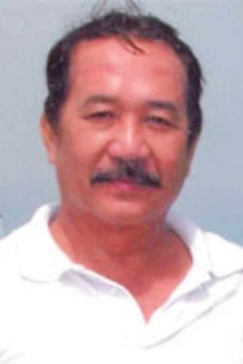 Hoàng Sơn foto