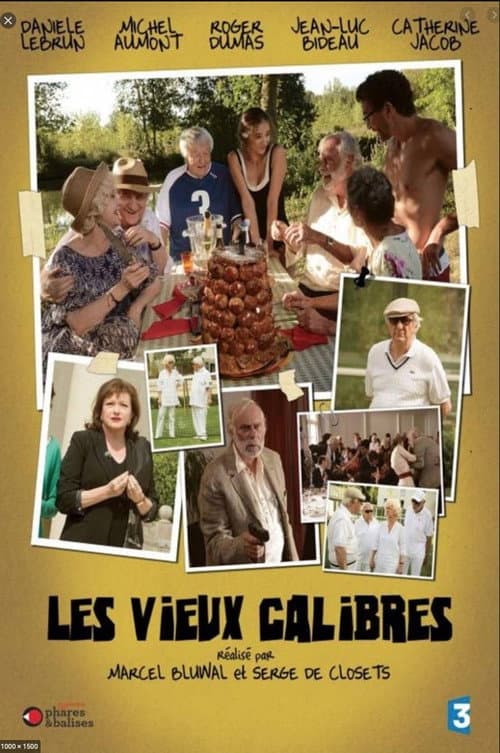 Les Vieux Calibres (2013) poster