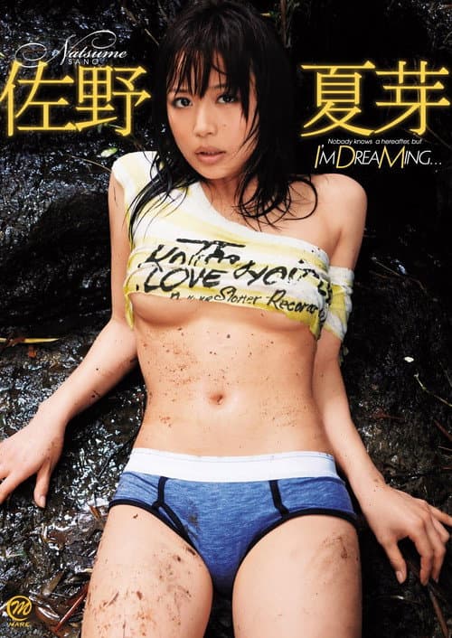 佐野夏芽 I’m DreaMing... (2009) poster