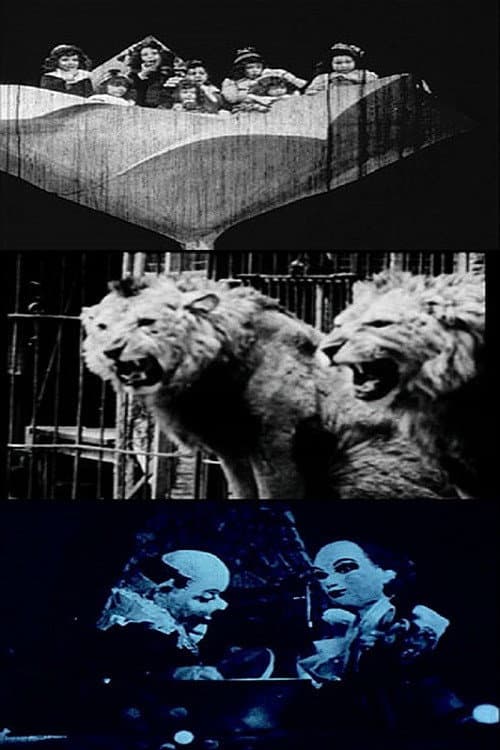 Three More by Cornell (2003) poster