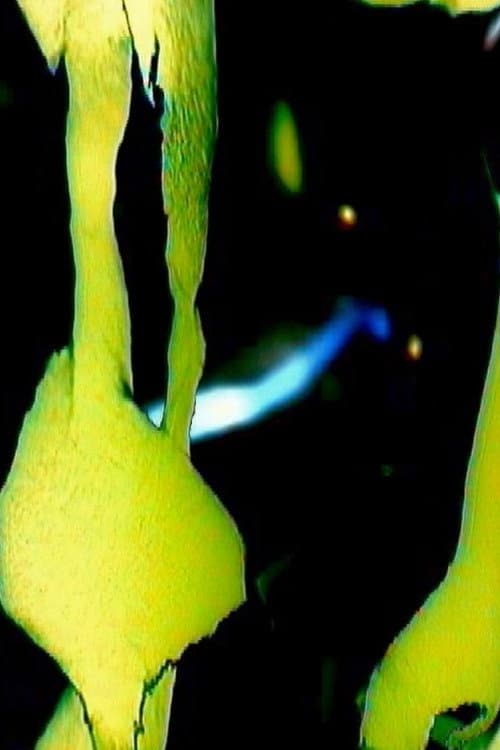 Reflecting Pool (2004) poster