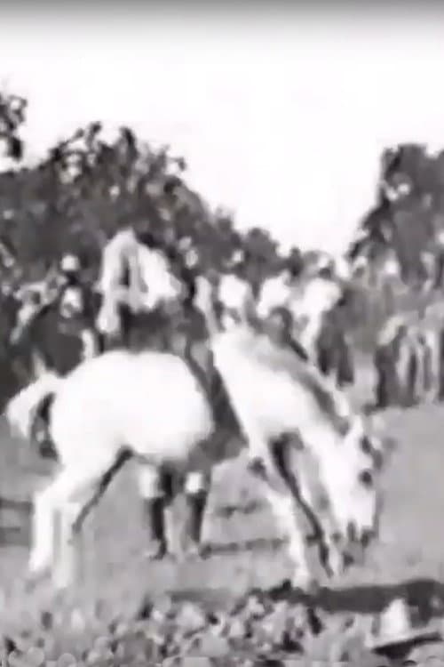 Cavalier sur un cheval rétif (1896) poster