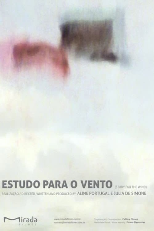 Estudo para o Vento (2011) poster