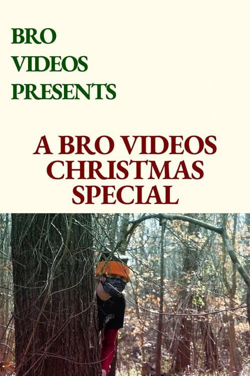 A Bro Videos Christmas Special (2020) poster