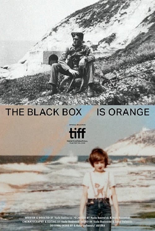 The Black Box is Orange (2026) poster
