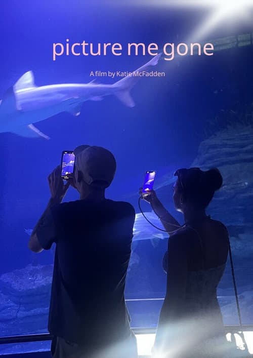 Picture Me Gone (2025) poster