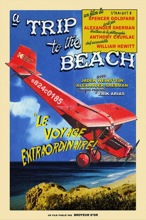 A Trip to the Beach (2024) poster