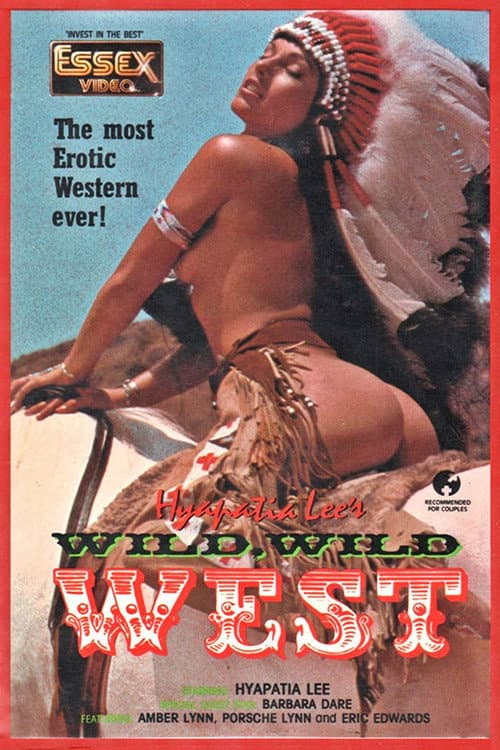 The Wild, Wild West (1986) poster