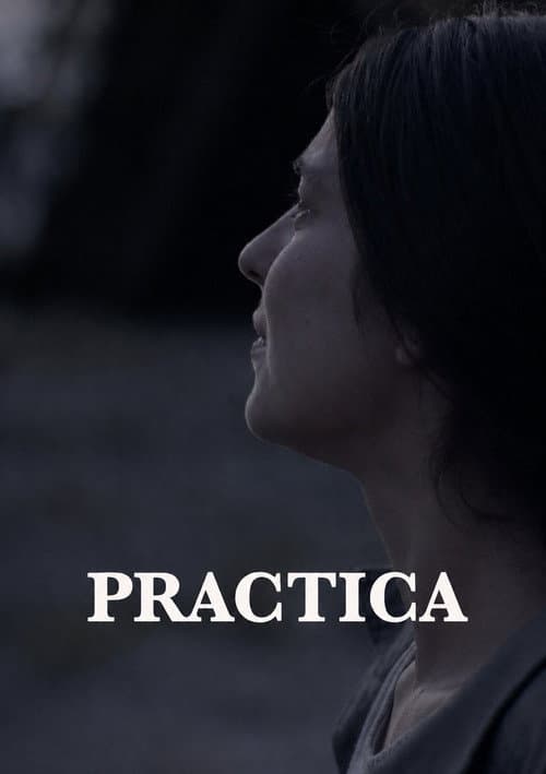 Practica (2019) poster
