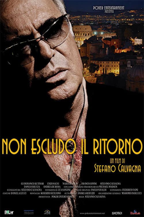 Non escludo il ritorno (2014) poster