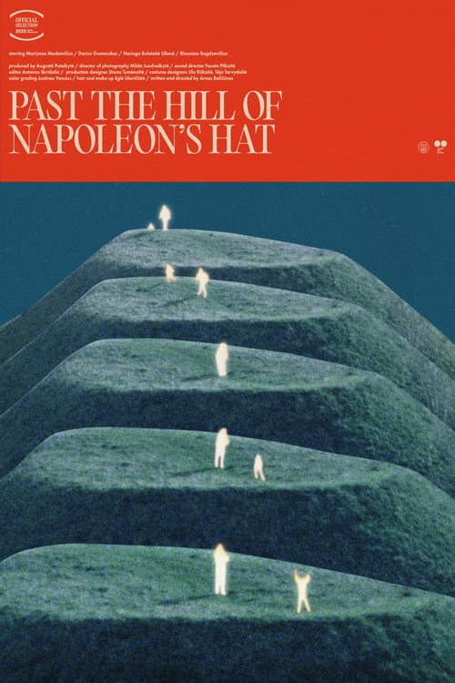 Pravažiavus Napoleono kepurę (2025) poster