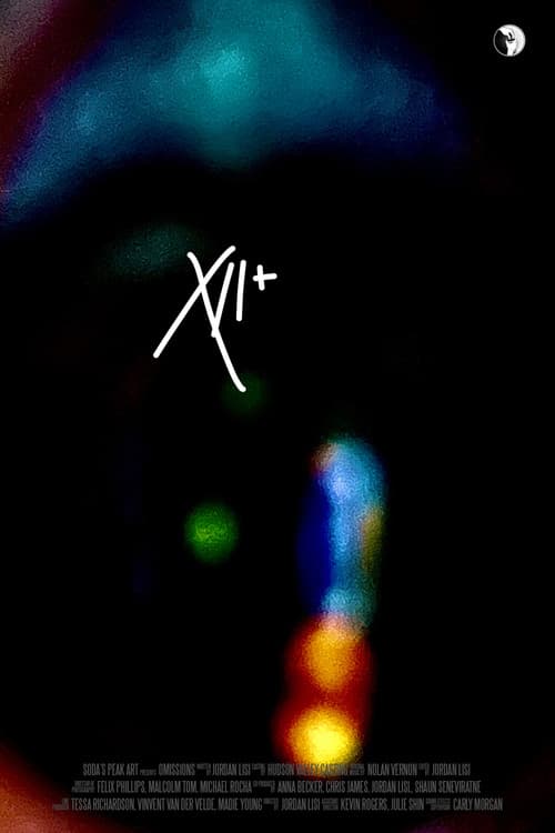 12 and More Omissions (2024) poster