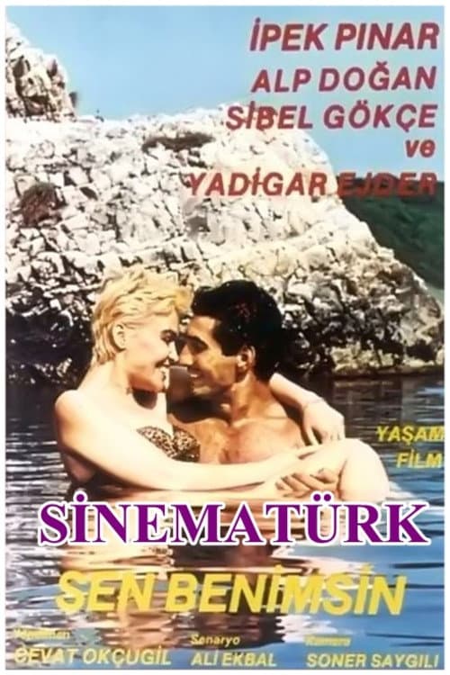 Sen Benimsin (1988) poster