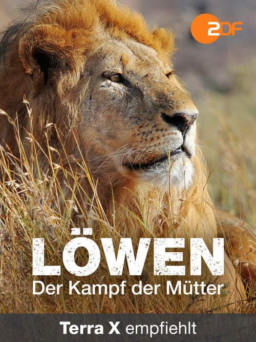 Löwen - Der Kampf der Mütter (2016) poster