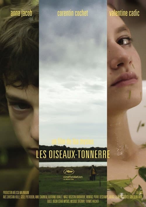 Les Oiseaux-tonnerre (2014) poster