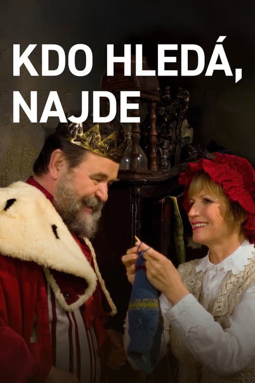 Kdo hledá, najde (2007) poster