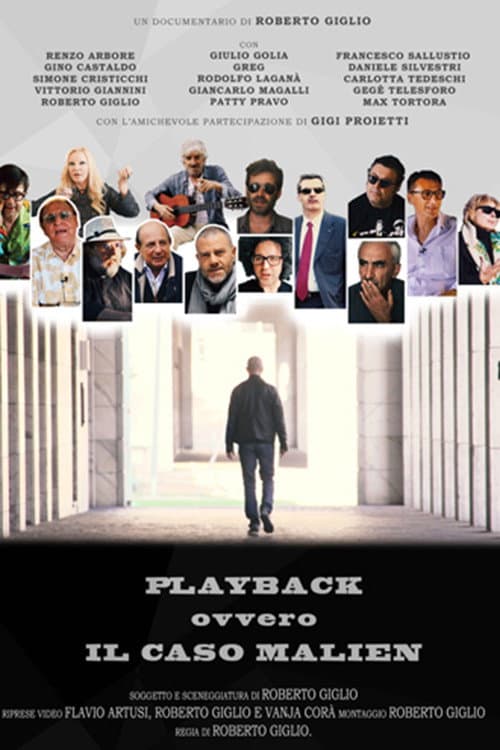Playback - Il caso Malien (2016) poster