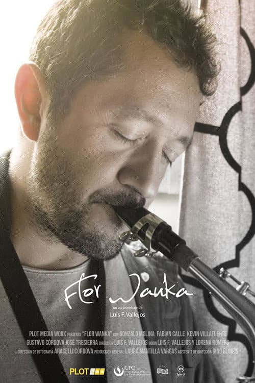 Flor Wanka (2017) poster