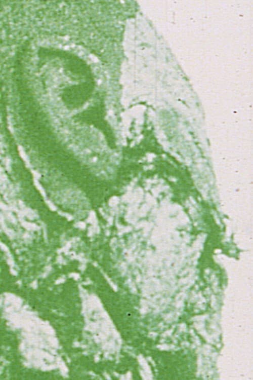 The Green Gate: Magellan at the Gates of Death, Part II (1976) poster