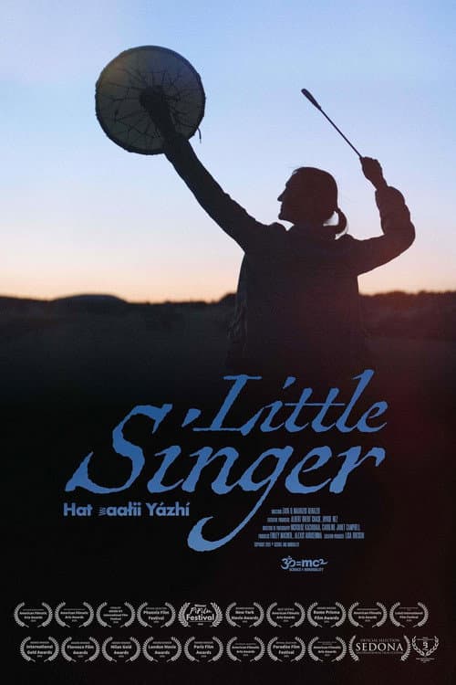 Little Singer (2026) poster