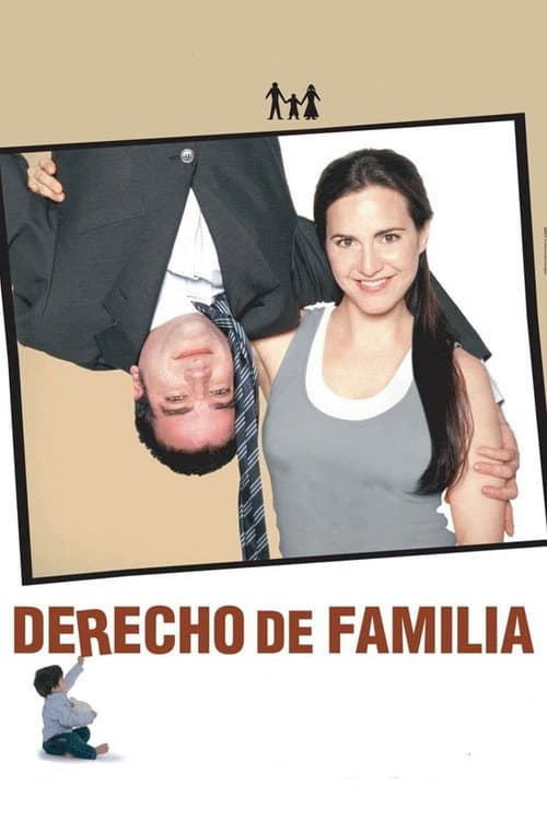 Family law (2006) poster